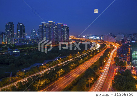 高層マンション 支流の川生態公園 夜景 31566350