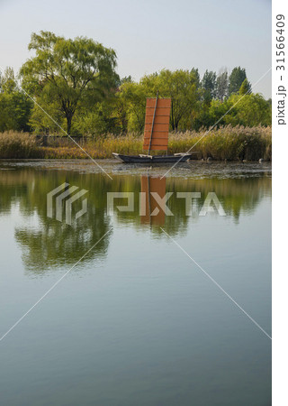 暖地池 ソウル 平和の公園 31566409