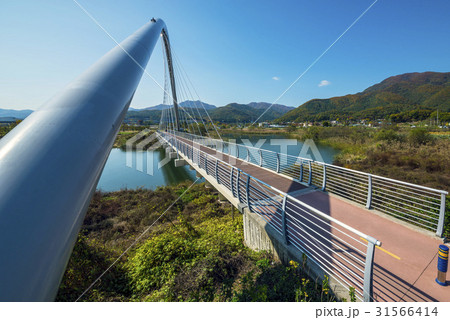 南楊州市 橋 水の庭 31566414