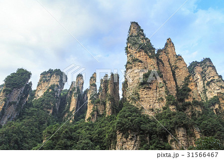 ローアングル 張家界 崖 31566467