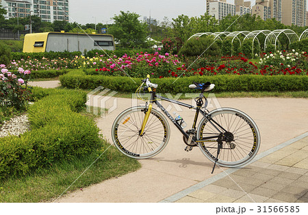 花 ソウル 自転車 31566585