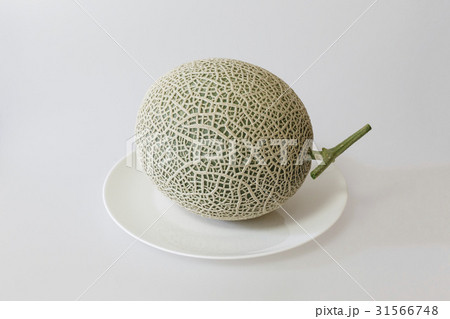 フルーツ 果物 ヌキ 31566748
