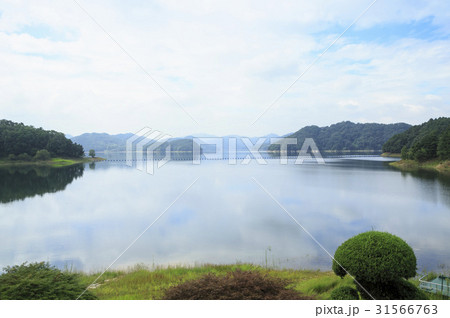 大清湖 忠清北道 韓国 31566763