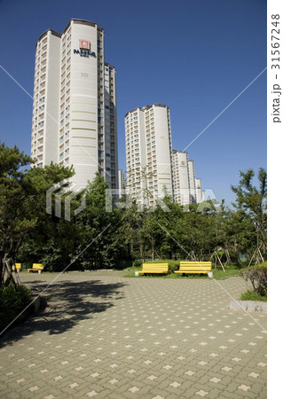 高層マンション 公園 ベンチ 31567248
