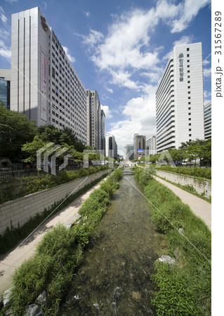 高層ビル 都市 都会 31567289