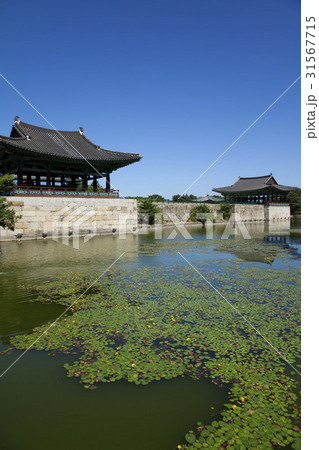 古建築 文化財 世界文化遺産 31567715