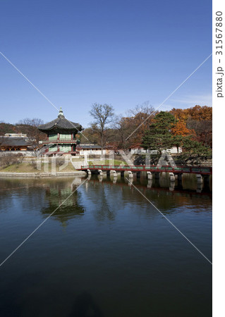 景福宮 紅葉 ソウル 31567880