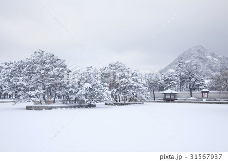 景福宮 ソウル 雪景色 31567937