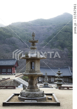 山 智異山 韓国 31567961
