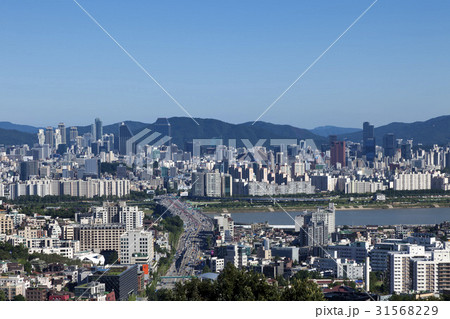 高層ビル 道路 都市 31568229