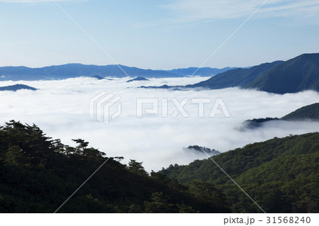 大関嶺 霧 自然 31568240