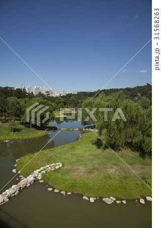 ソウル ソウルの森 自然 31568263