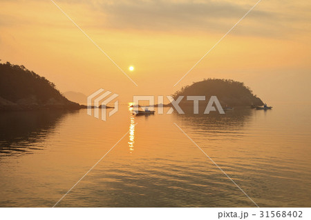 島 全羅南道 珍島郡 31568402