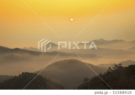 海 山 セソム 31568410