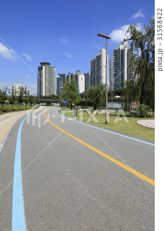街灯 道路 ソウル 31568422
