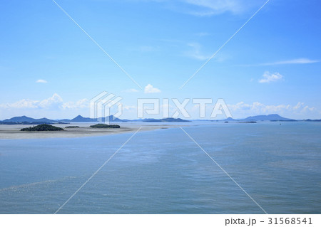 新安郡 年度 全羅南道 31568541