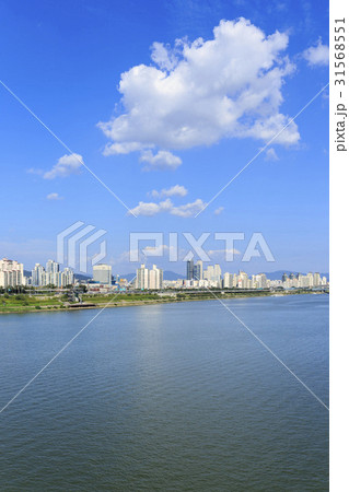 川 河 高層ビル 31568551