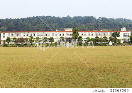芝生 全北 小学校 31568599