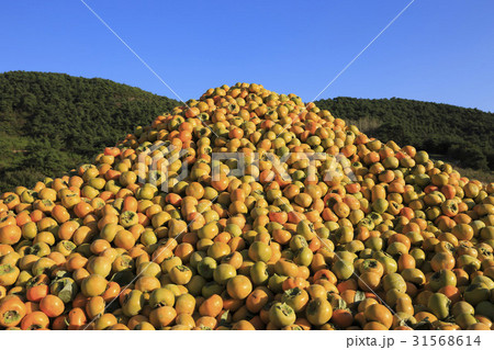 感 積み重ねスタッキング 積み上げ 31568614