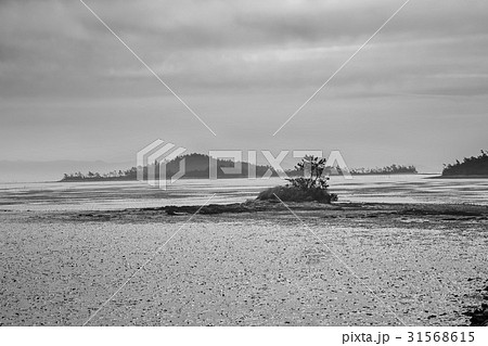 モノトーン 海 新安郡 31568615