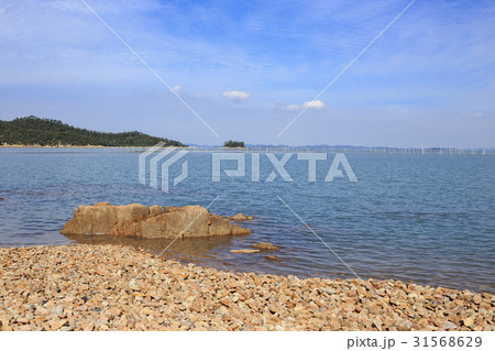 石 海 島 31568629