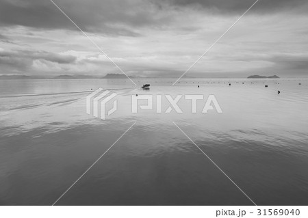 モノトーン 海 全羅南道 31569040