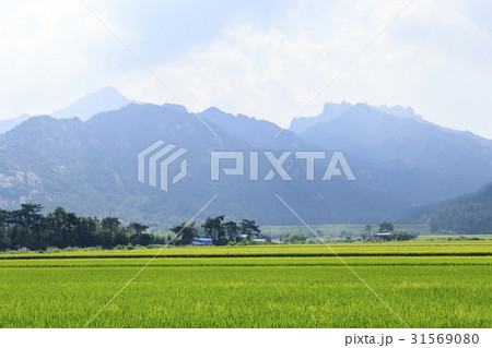 ノン 山 月出山 31569080