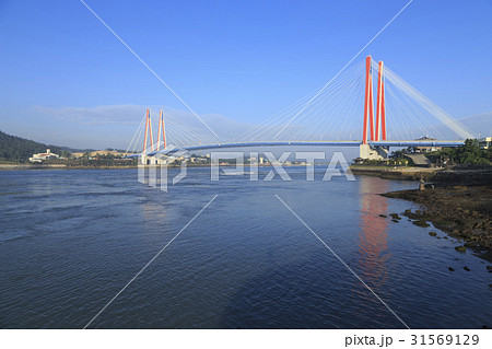 海 ウルドルモク 全羅南道 31569129