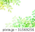 木漏れ日　テクスチャー　背景素材 31569256