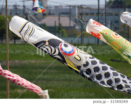 鯉のぼり 31569269