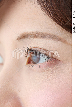 ビューティー・女性 31569537