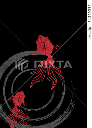 泳ぐ金魚　縦 31569556