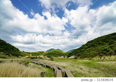 初夏の雨ヶ池 31569634