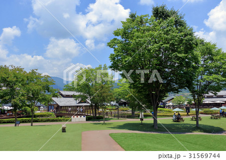 道の駅　川場田園プラザ 31569744
