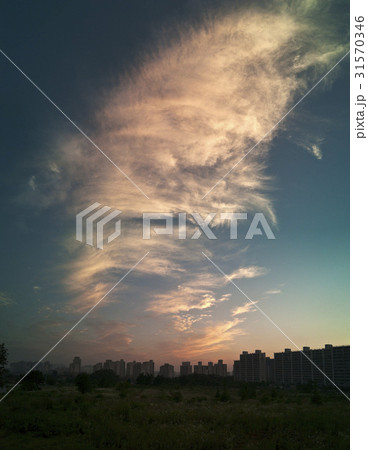 夕焼け シルエット 忠南 31570346