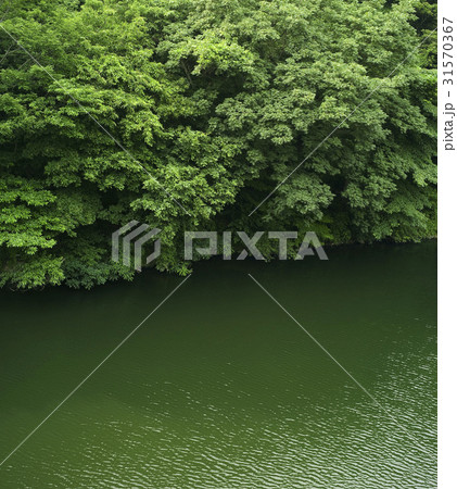 川 河 自然 31570367