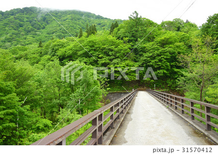 新緑の貝掛橋 31570412