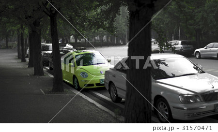 街路樹 ニュービートル 自動車 31570471