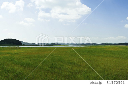 田畑 保寧市 忠南 31570591