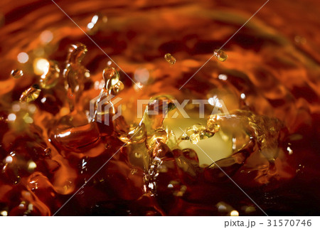 水揚げ 水がはじける 激写 31570746