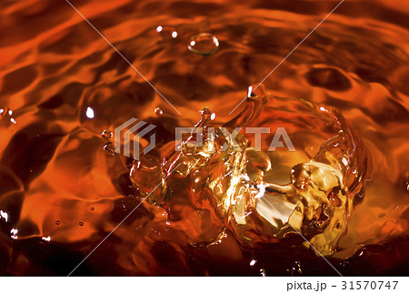 水揚げ 水がはじける 激写 31570747