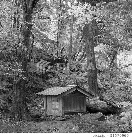 江原道 モノトーン ソナンダン 31570966