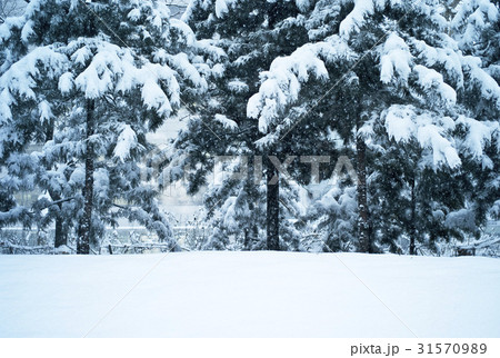 ソウル 雪景色 松坡区 31570989