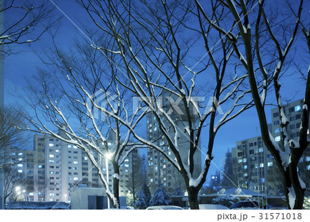 ソウル 夜景 韓国 31571018