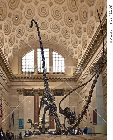 ニューヨーク マンハッタン 米国 31571193