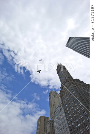 高層ビル ニューヨーク 米国 31571197