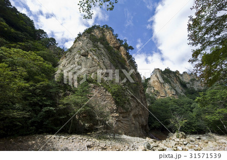 江原道 雪岳山 襄陽郡 31571539