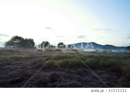 慶南 湿地 霧 31572151