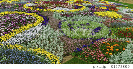 花畑 ソウル 瑞草区 31572309