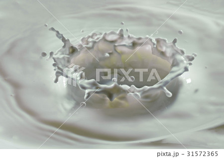 水揚げ 水がはじける 激写 31572365